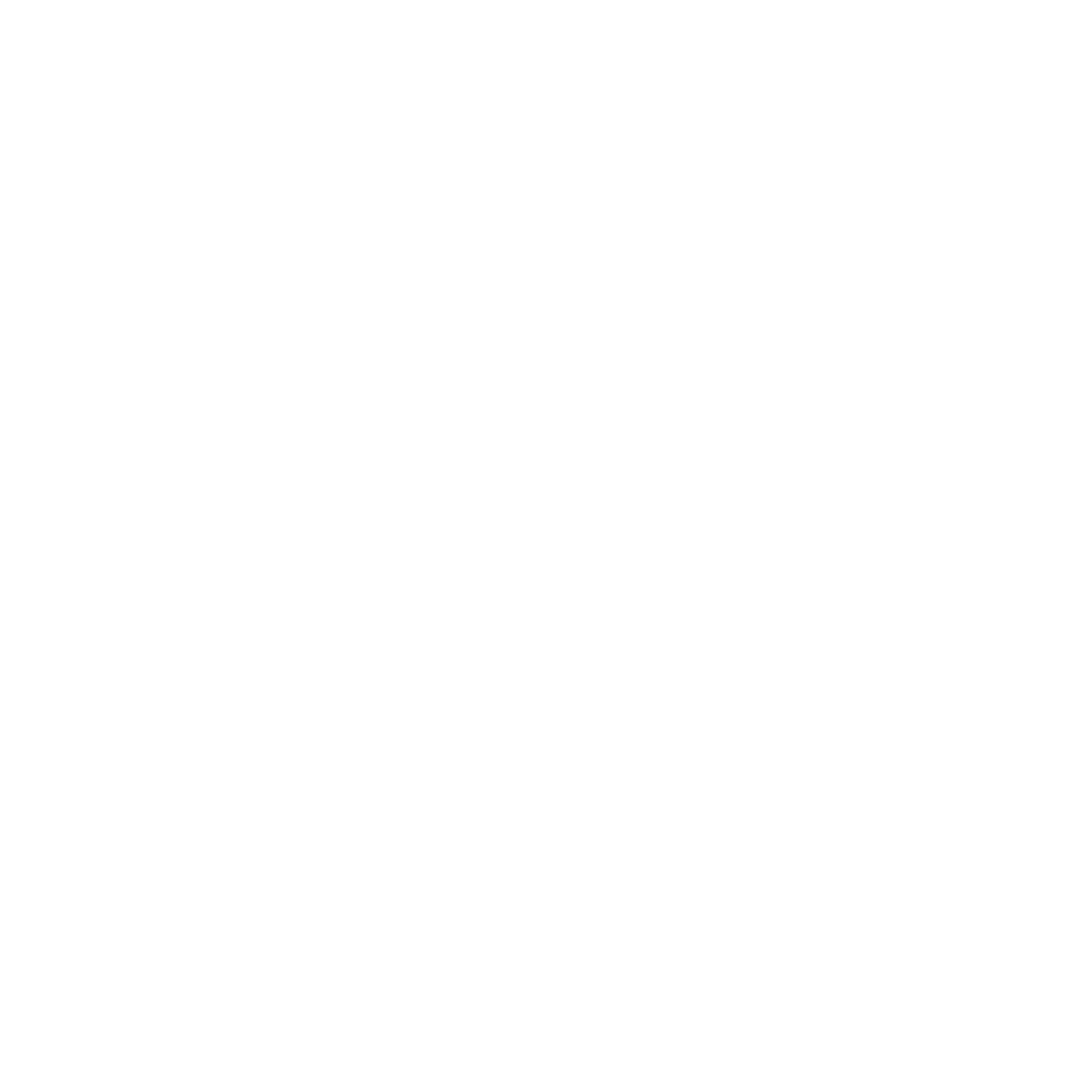 Our Services: Branding