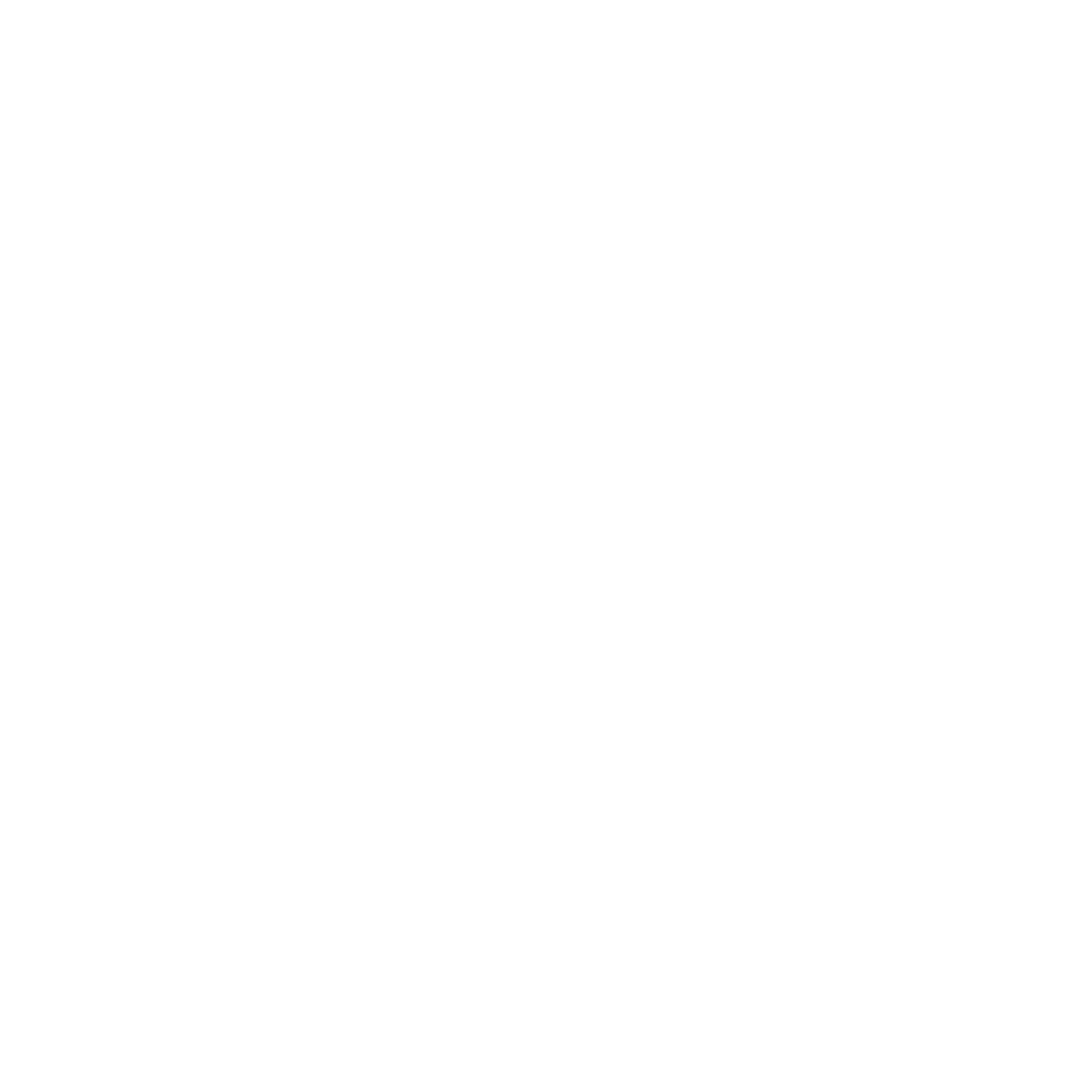 Our Services: Influencer & Public Relations