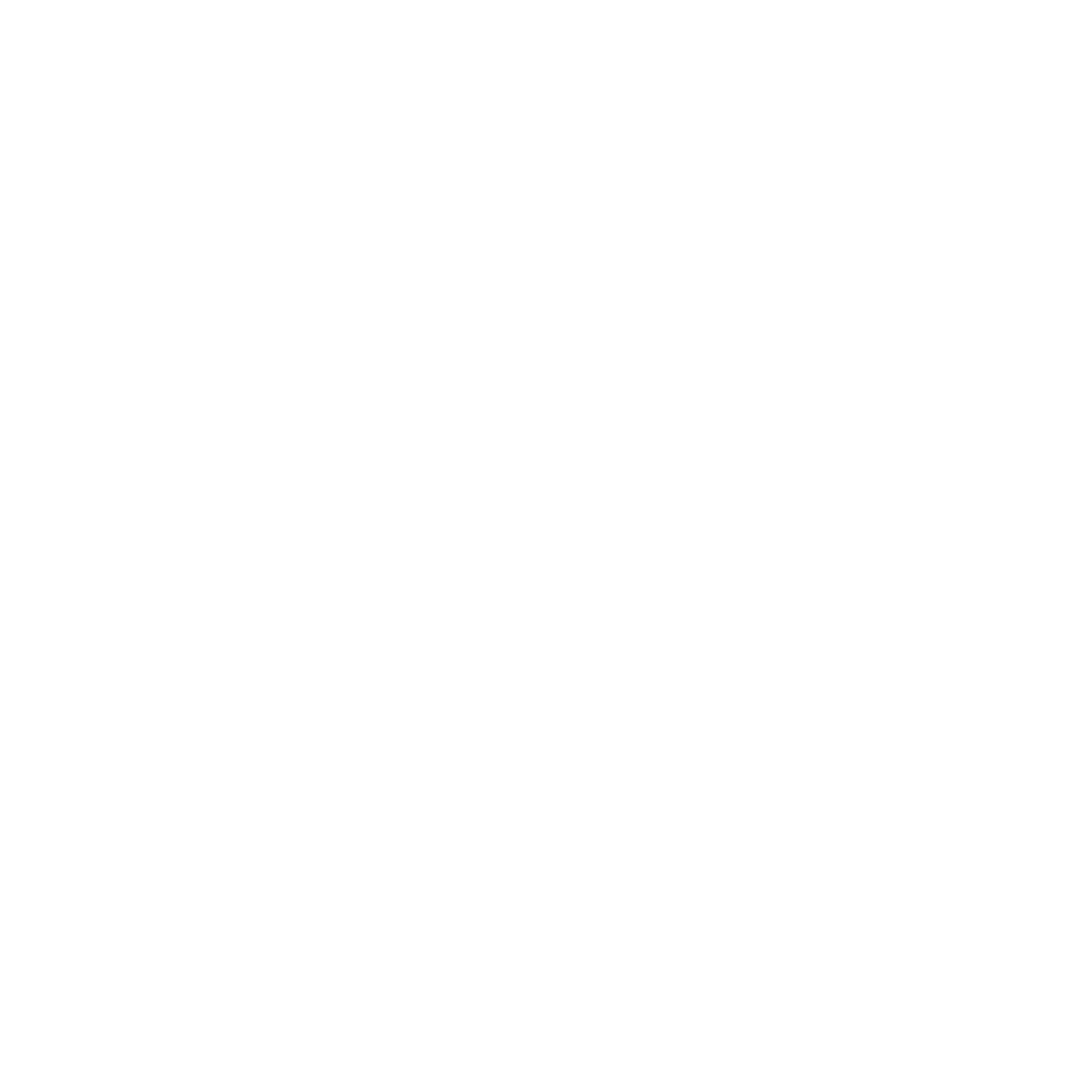 Our Services: Social & Paid Media